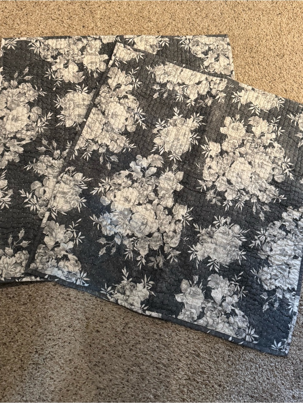 Pottery Barn Juliette Toile 26x26 Euro Pilllow Shams